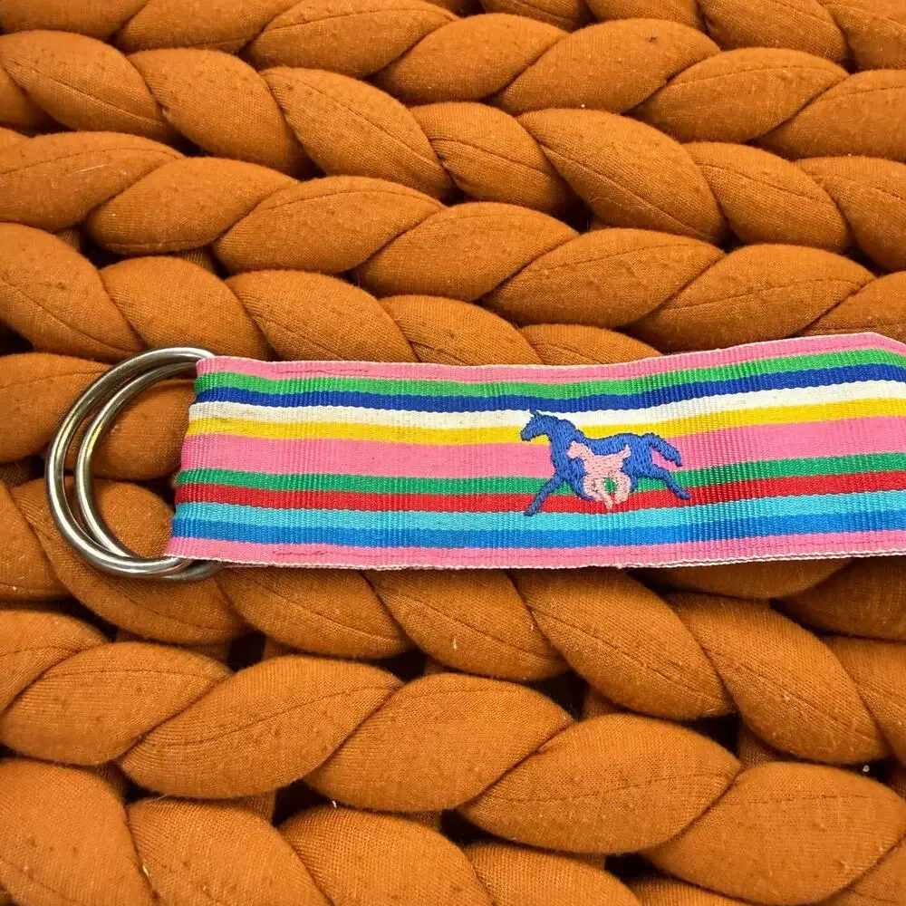 EQ Equestrian Horse Rainbow Stripe Grosgrain Ribbon Belt M Medium Girls